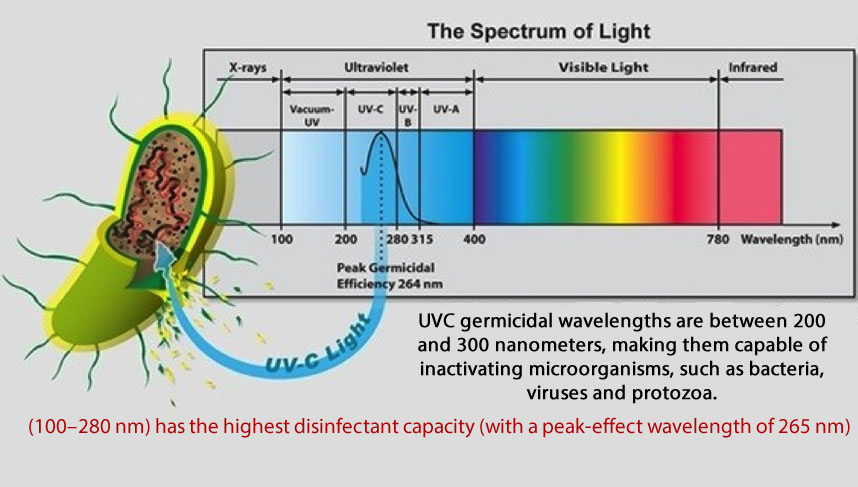 100–280nm-has-highest-disinfectant-capacity-peak-effect-wavelength-of-265-nm